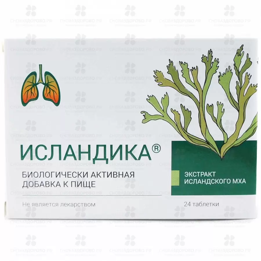 Исландика таблетки 700мг №24 (БАД) ✅ 37624/06277 | Сноваздорово.рф
