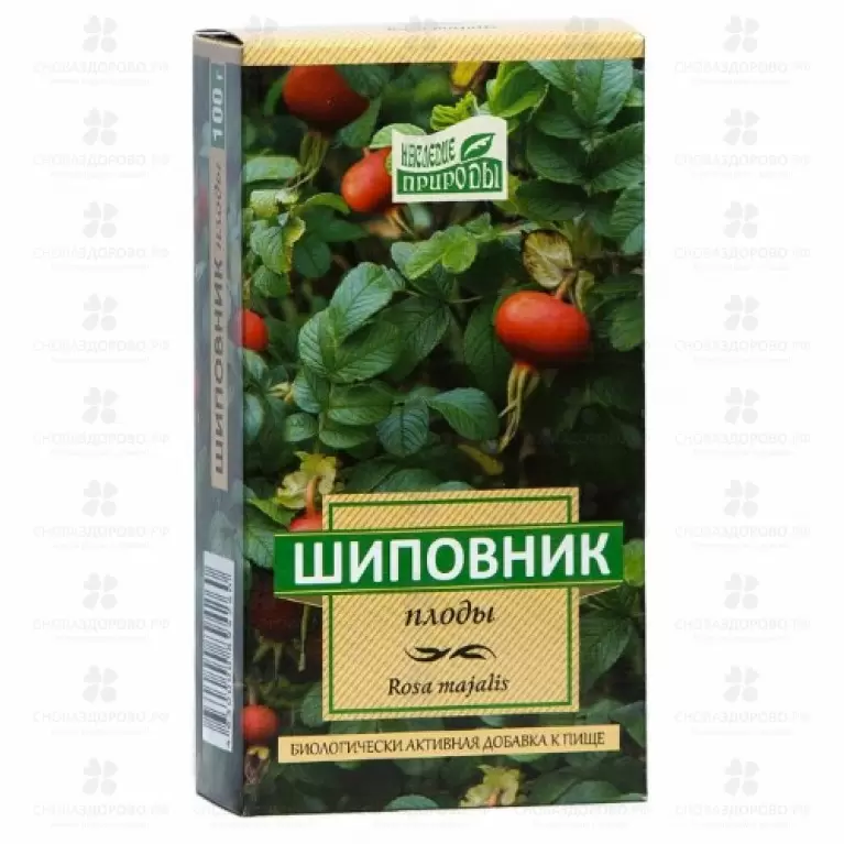 Шиповник плоды 50г (БАД) ✅ 29074/06261 | Сноваздорово.рф